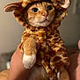 Jinkx is registered to the contest to win money with this photo: cat, orange_tabby, costume, giraffe, pet, animal, cute, wide_eyes, fur, whiskers, hand, indoor, portrait, expression, adorable, mammal, domestic_cat, holding, soft_texture, blurred_background