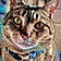 Melvin