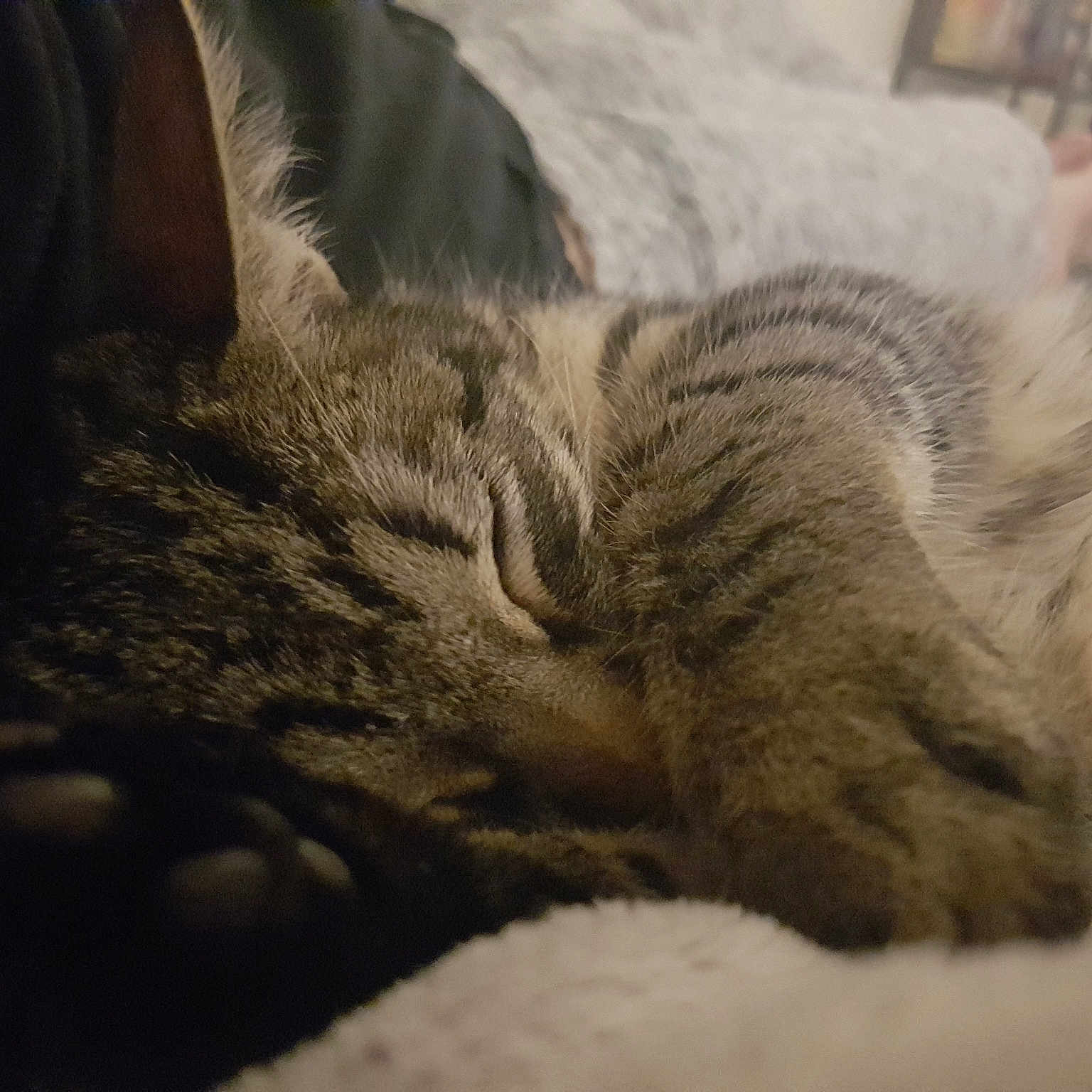 Mouf