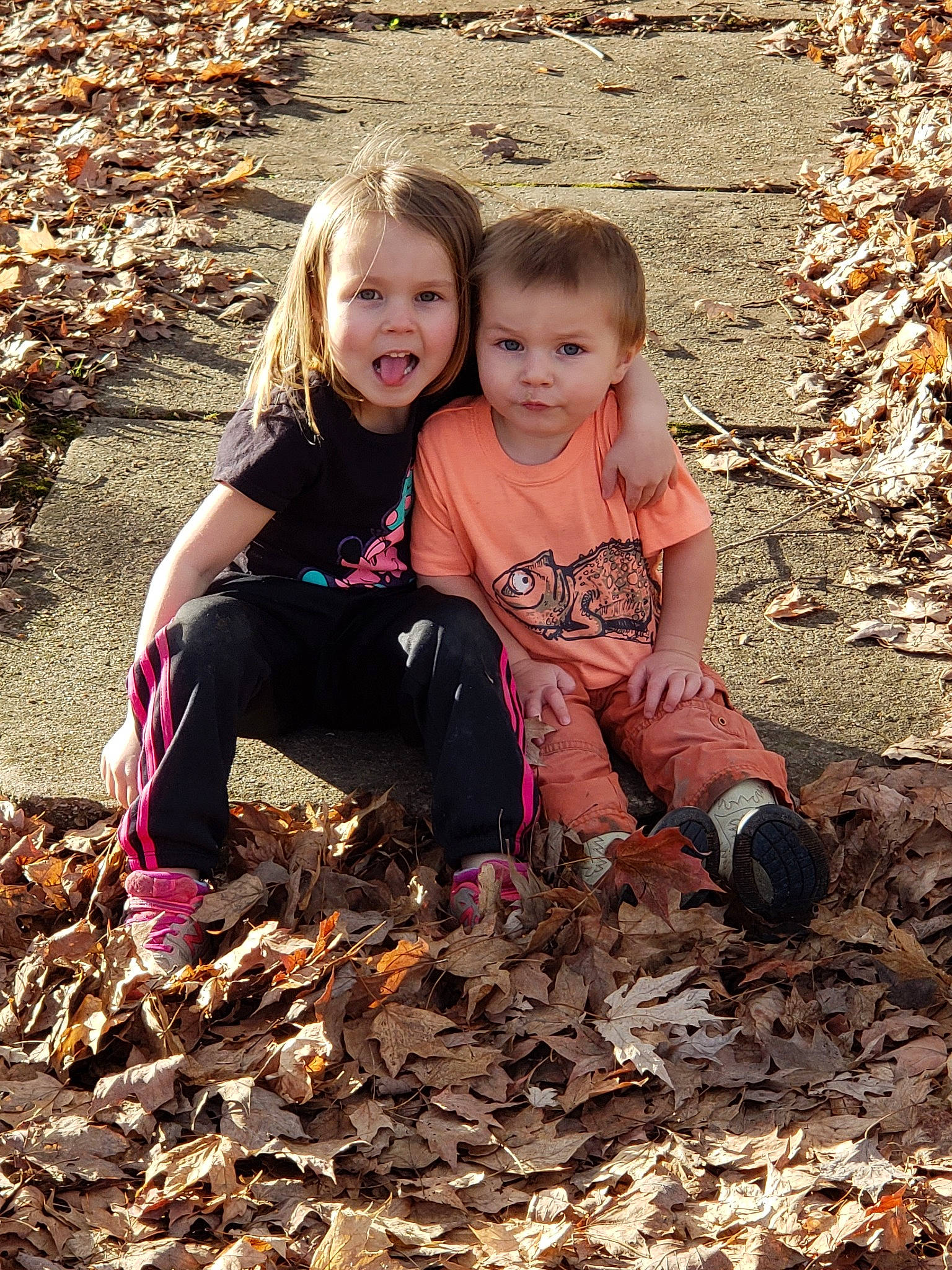 Jamie is registered to the contest to win money with this photo: autumn, child, fun, leaf, people_in_nature, person, plant, play, sibling, smile, soil, toddler, tree