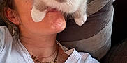 Aston participe au concours pour gagner de l'argent avec cette photo : kitten, cat, person, face, couch, pillow, white_shirt, necklace, curly_hair, indoor, pet, closeup, relaxing, cute, furry, resting, cozy, animal, companion, home
