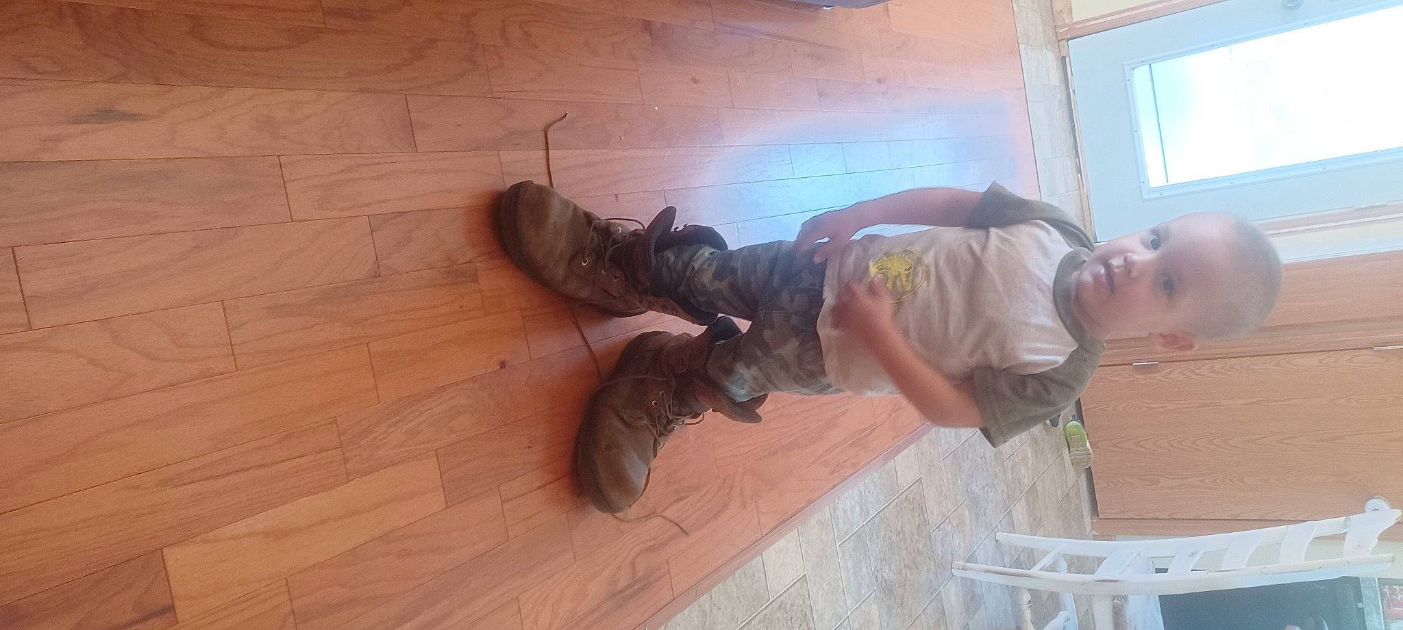 Everett joined the competition — help win amazing prizes! carnivore, comfort, companion_dog, dog, dog_breed, fawn, floor, flooring, foot, fur, hardwood, human_leg, liver, person, tail, varnish, window, wood, wood_flooring, wood_stain