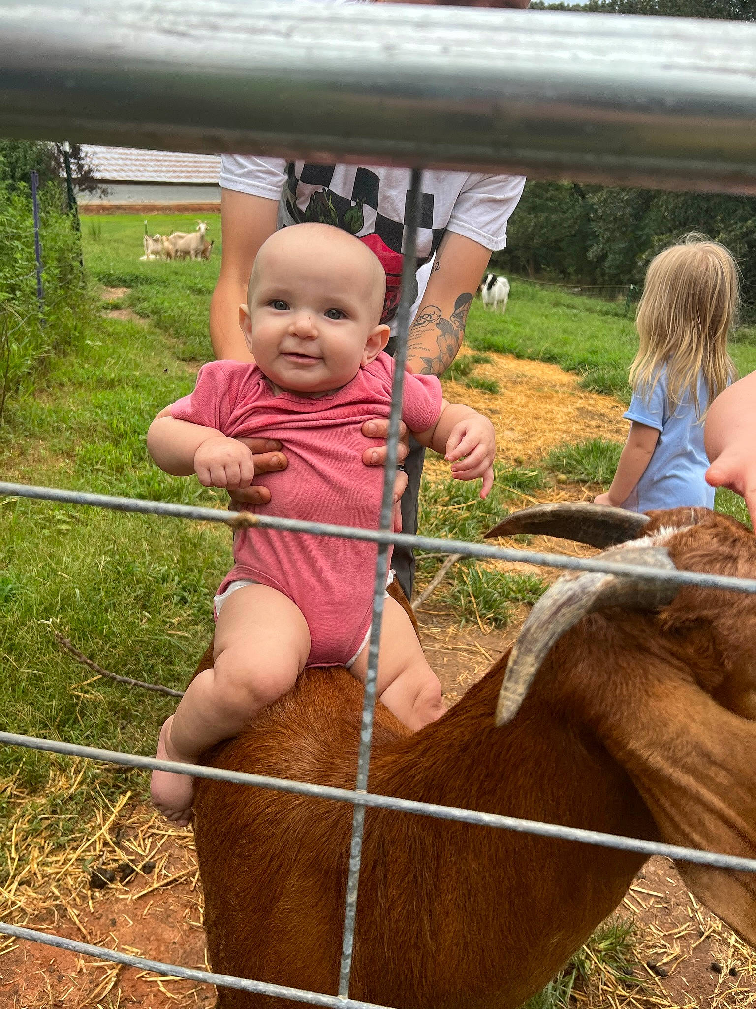 Baylee is registered to the contest to win money with this photo: child, event, fun, grass, happy, joy, landscape, leisure, people_in_nature, person, plant, recreation, rural_area, shorts, smile, soil, thigh, thumb, tire, toddler