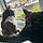 Bugs And Midnight
