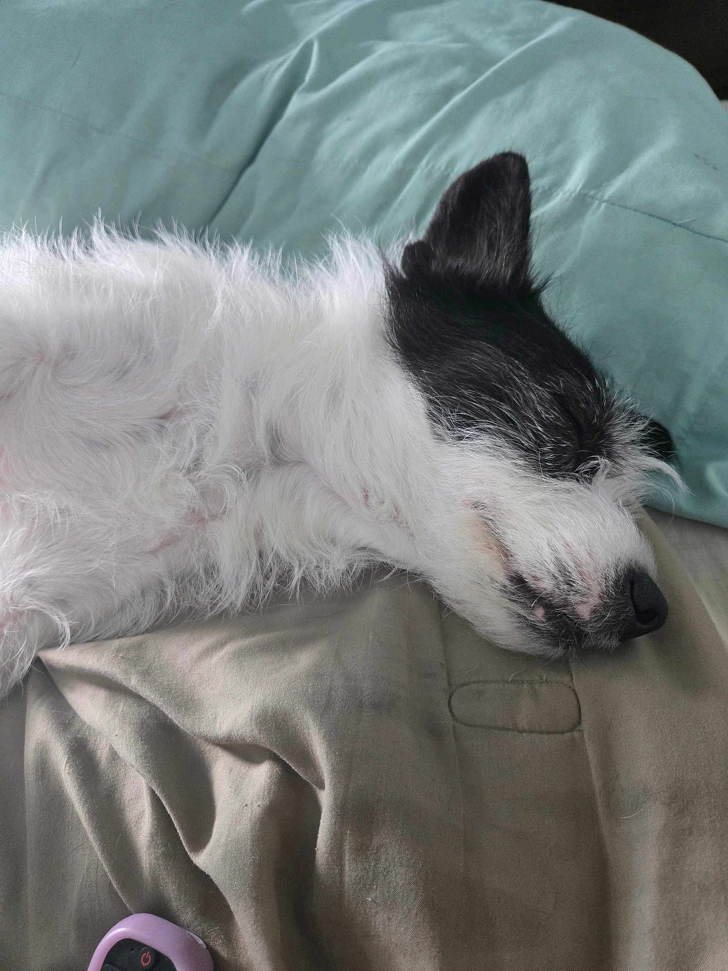 Luna