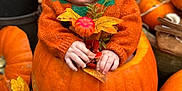 Albie joined the competition — help win amazing prizes! baby, pumpkin, autumn, fall_leaves, orange_sweater, knit_hat, decorative_gourds, outdoor, cute, child, seasonal, harvest, festive, nature, portrait, hands, face, plant_pots, cozy, holiday