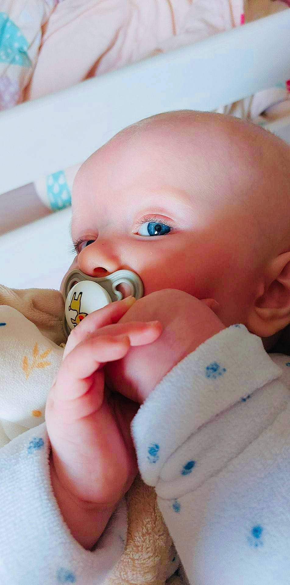 Loris participe au concours pour gagner de l'argent avec cette photo : baby, baby_products, baby_toddler_clothing, cheek, child, close_up, comfort, eyelash, finger, fun, gesture, iris, lip, mouth, nail, nose, person, product, skin, thumb