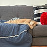 blanket, cat, checkered_pillow, comfortable, couch, cozy, domestic_animal, feline, furniture, ginger_cat, home, indoor, nap, pet, pillow, red_cushion, relaxed, resting, sleeping, soft_texture