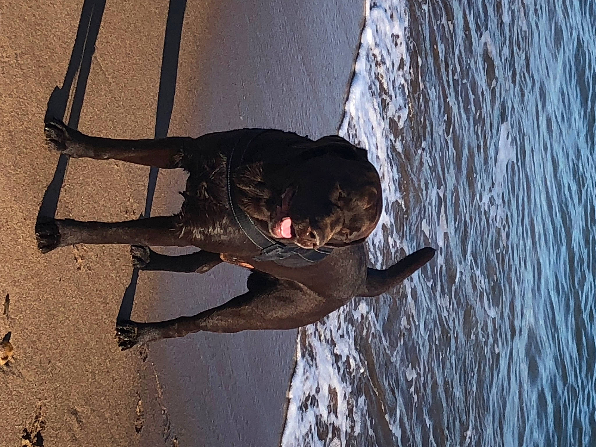 Nouk a rejoint le concours — aidez-le/la à gagner de superbes lots ! adventure, freezing, fun, leisure, recreation, shadow, sporting_group, tail, tree, water, winter, wood