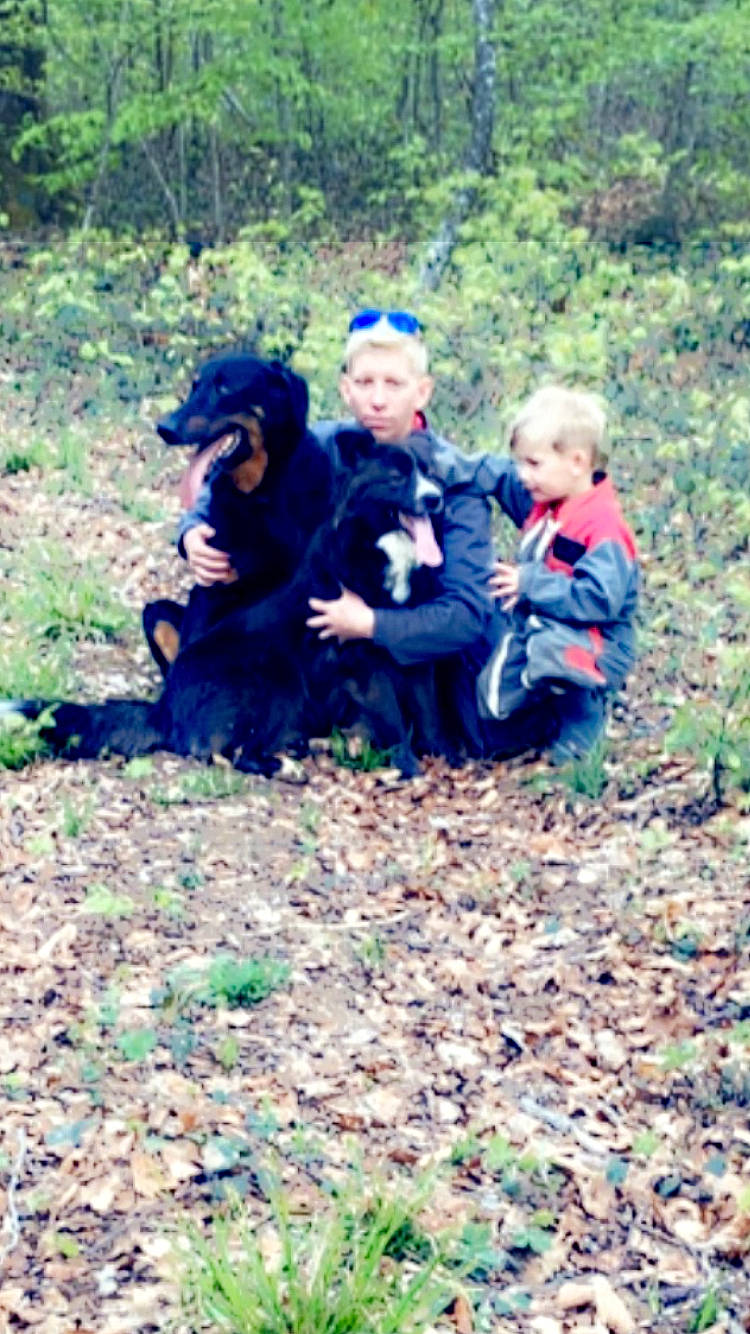 Nako a rejoint le concours — aidez-le/la à gagner de superbes lots ! adventure, carnivore, child, companion_dog, dog_breed, forest, grass, hat, landscape, leisure, people_in_nature, plant, recreation, sitting, soil, sporting_group, toddler, tree, walking, woodland