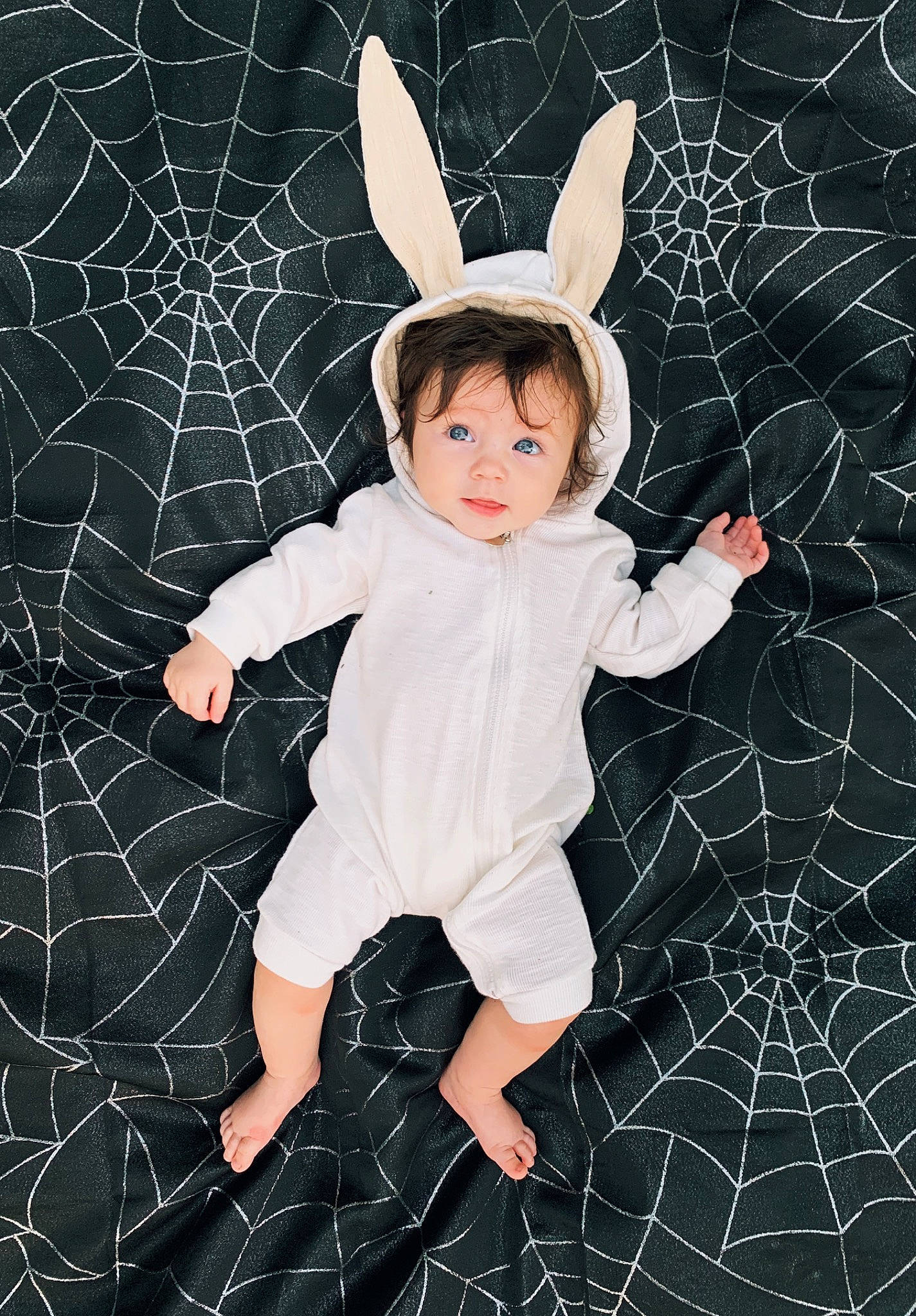 Juniper is registered to the contest to win money with this photo: child, costume, ear, fictional_character, illustration, organ, person, photography, spider_web, toddler