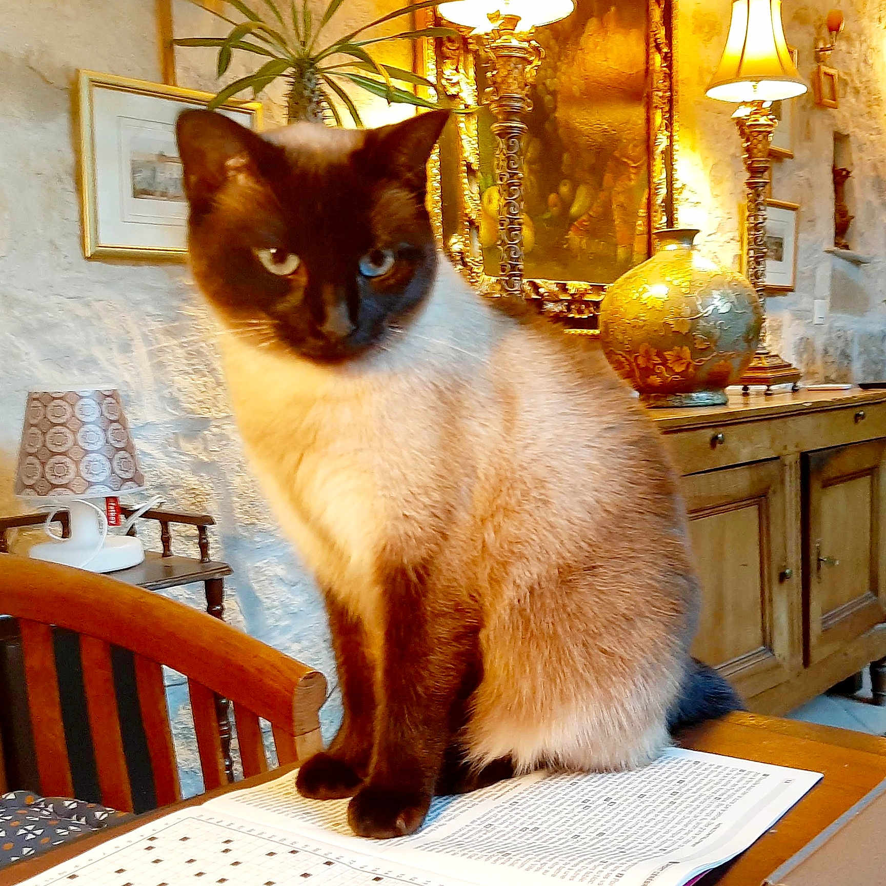 Poppée