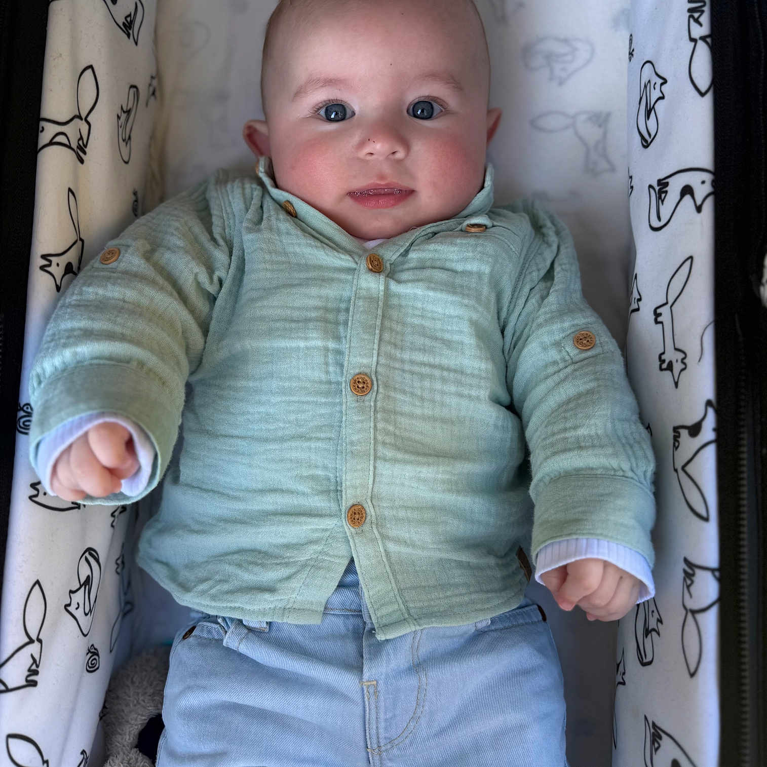 Milann participe au concours pour gagner de l'argent avec cette photo : baby, infant, crib, clothing, mint_green_shirt, blue_pants, face, eyes, hands, cute, child, smile, plush_blanket, animal_print, furniture, indoor, portrait, lying_down, cozy, young_child