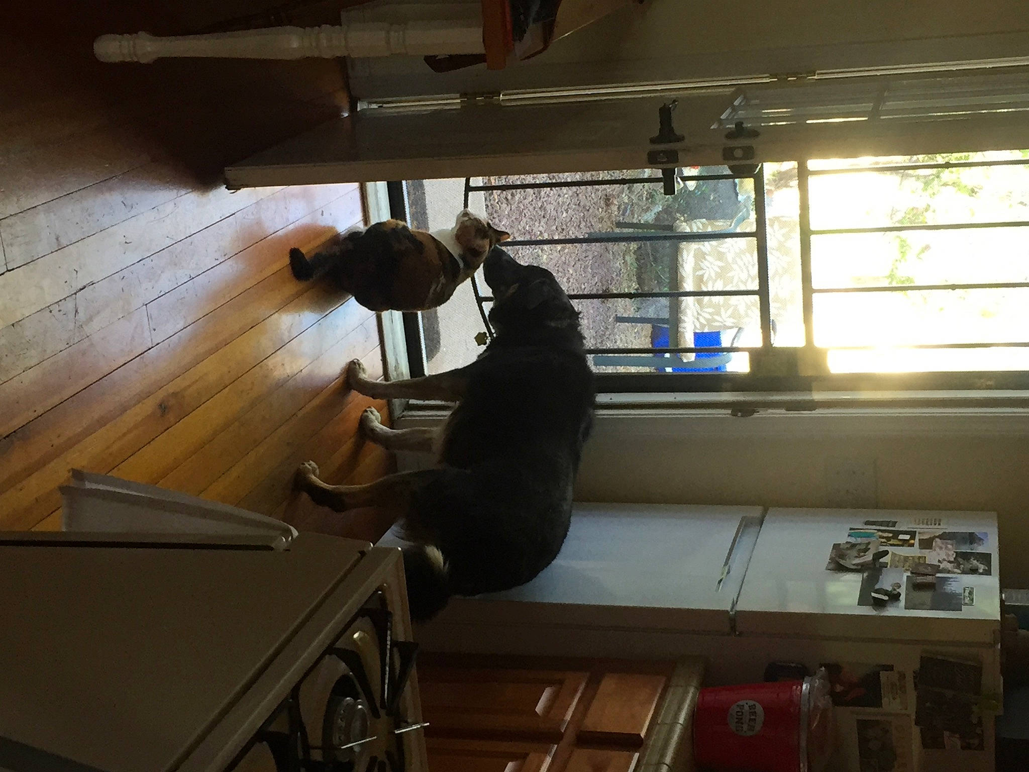 Gorms is registered to the contest to win money with this photo: beam, building, ceiling, daylighting, desk, engineering, flooring, glass, hardwood, machine, metal, plywood, room, shade, window, wood