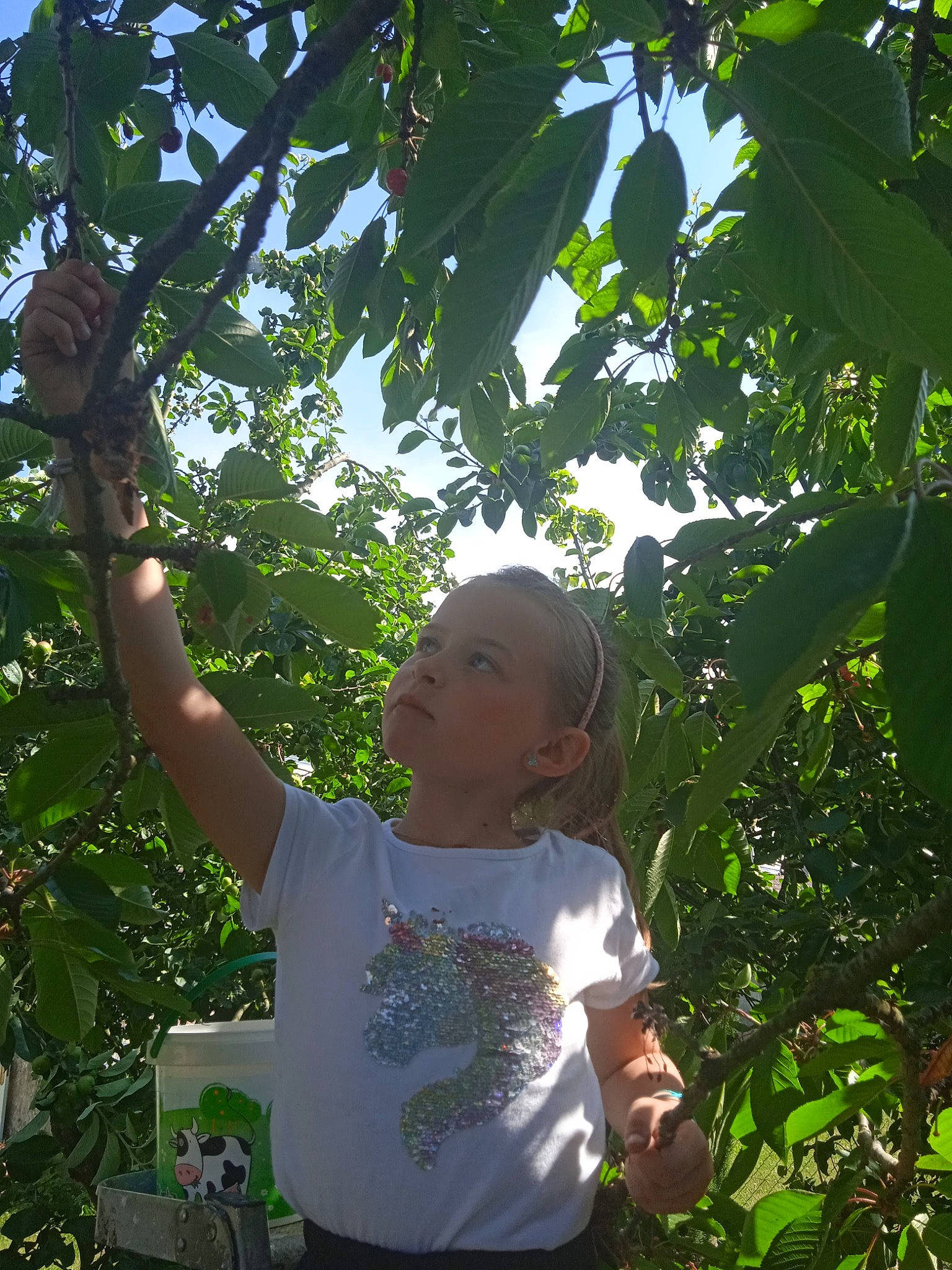 Lilou a rejoint le concours — aidez-le/la à gagner de superbes lots ! botany, branch, elbow, flowering_plant, fruit_tree, grass, happy, jungle, leaf, leisure, people_in_nature, person, plant, sky, sunlight, terrestrial_plant, toddler, travel, tree, vegetation