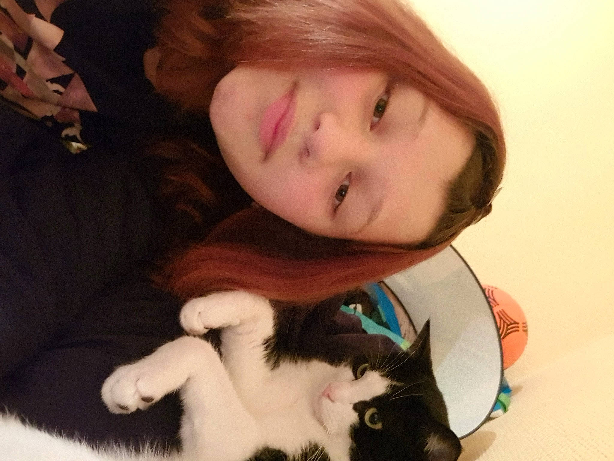 éclair participe au concours pour gagner de l'argent avec cette photo : bangs, black_hair, carnivore, cat, comfort, companion_dog, ear, eyelash, felidae, gesture, happy, iris, lap, long_hair, mammal, organ, skin, small_to_medium_sized_cats, smile, whiskers