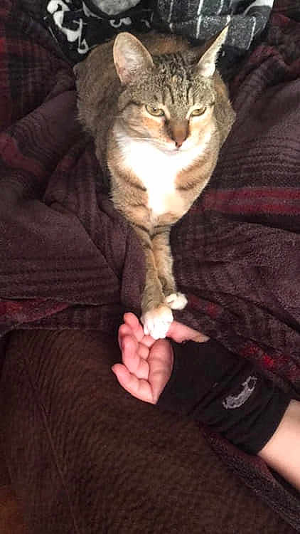 Athena