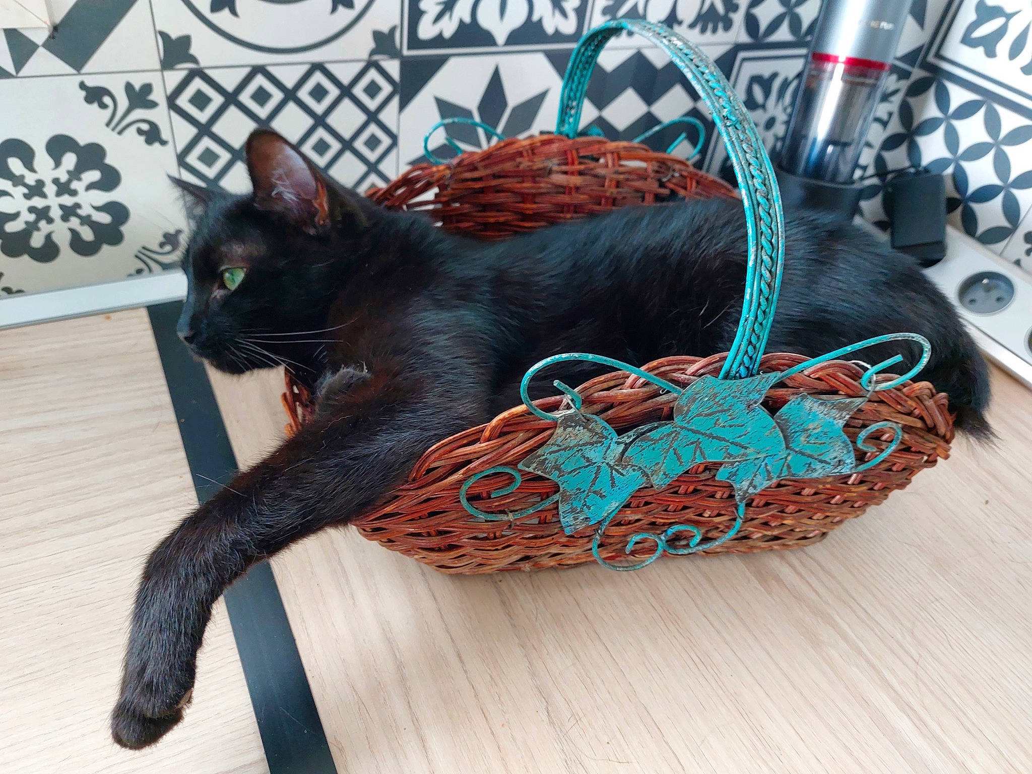 Maa-oh participe au concours pour gagner de l'argent avec cette photo : bag, basket, black_cat, bombay, carnivore, cat, comfort, electric_blue, fashion_accessory, fawn, felidae, fur, luggage_and_bags, small_to_medium_sized_cats, tail, terrestrial_animal, whiskers, wicker, window, wood