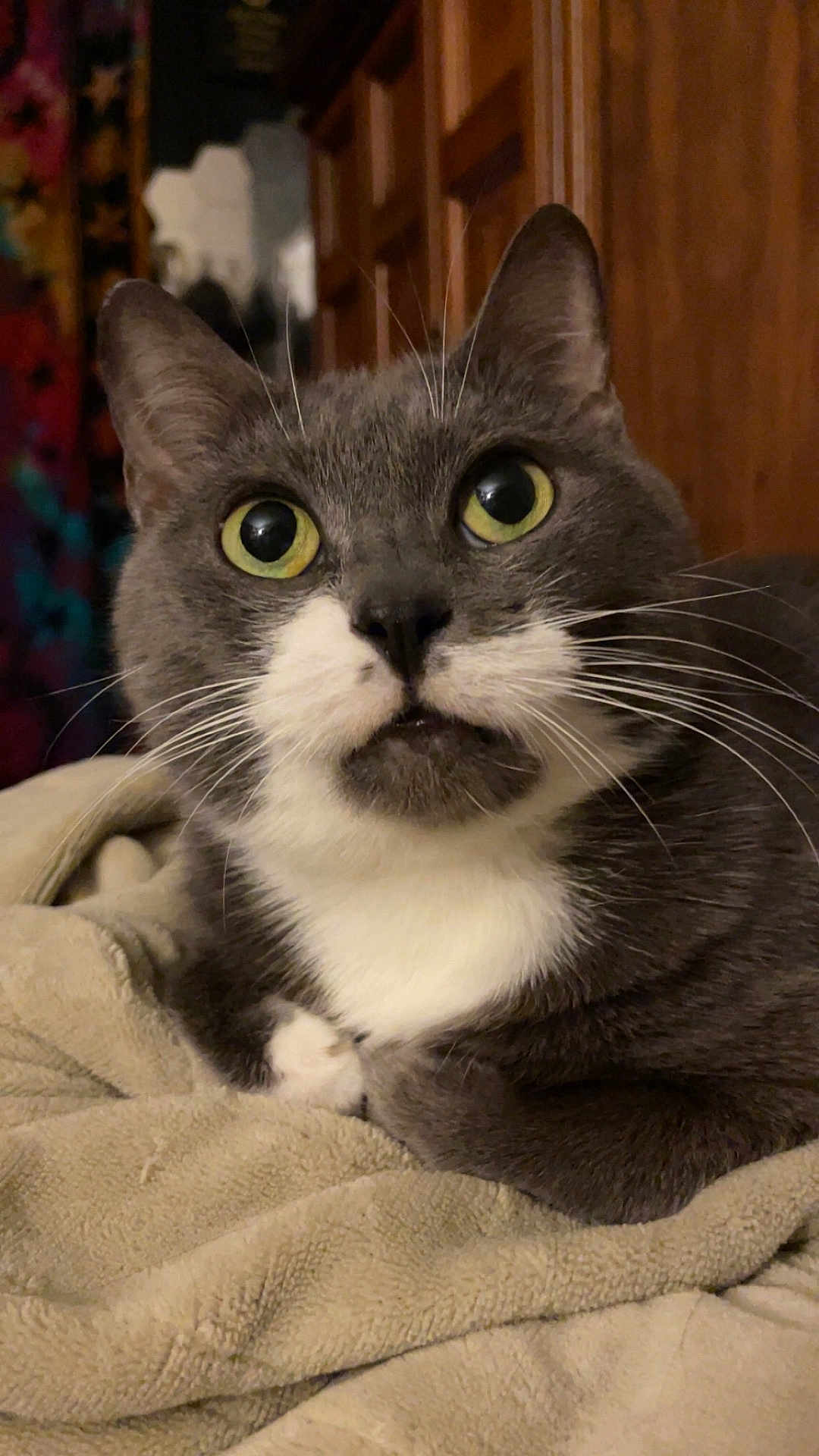Oscar