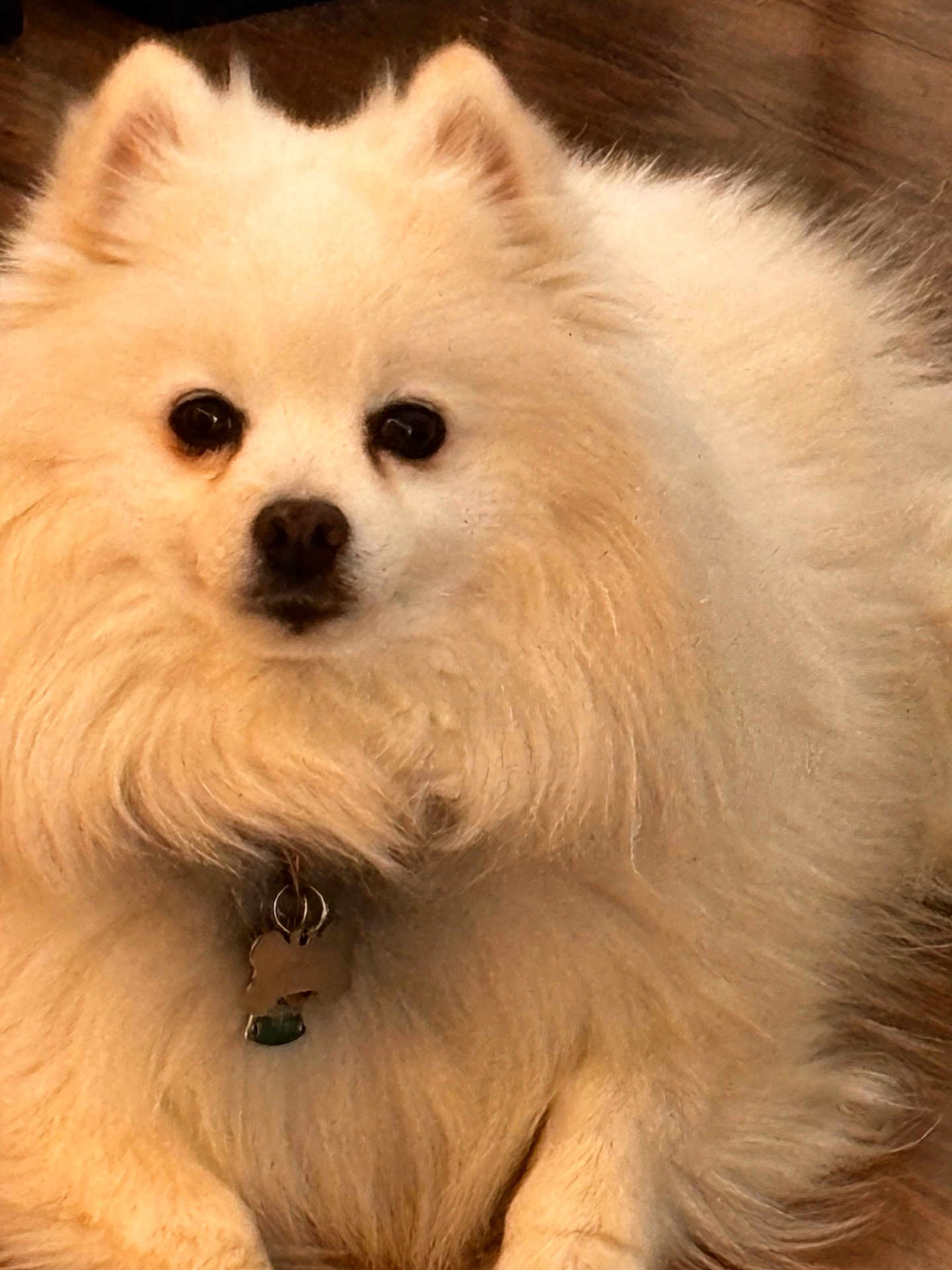 Cloud