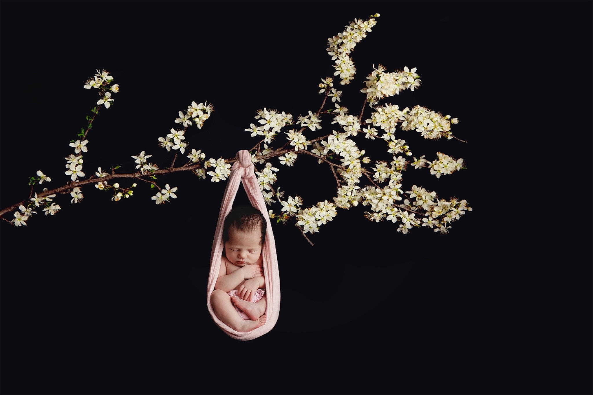 Carla Mia participe au concours pour gagner de l'argent avec cette photo : blossom, branch, computer_wallpaper, flower, jewellery, person, spring, still_life_photography, stock_photography, twig