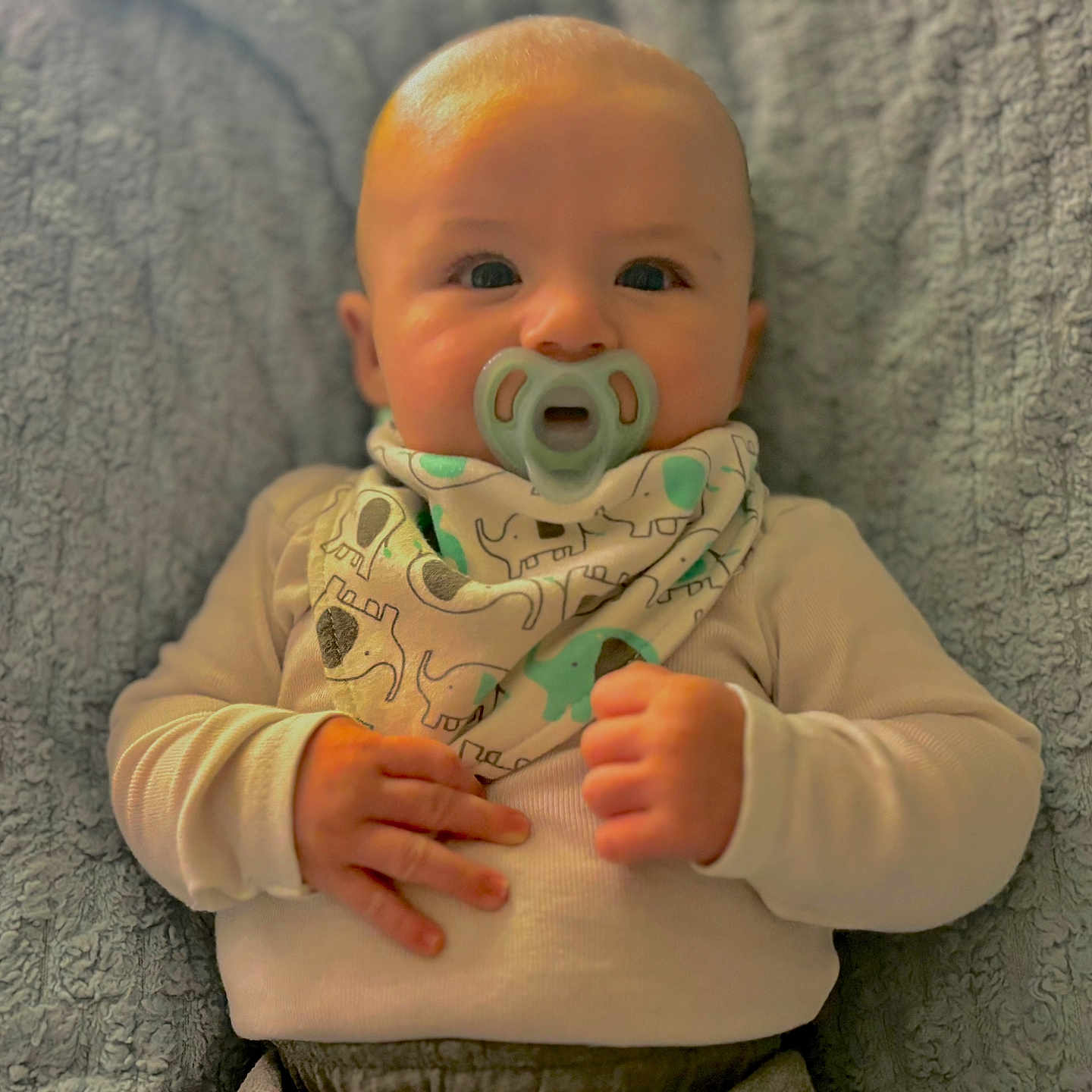 Rhyker is registered to the contest to win money with this photo: baby, bib, blanket, child, clothing, comfortable, cute, expression, face, hands, head, indoors, infant, pacifier, portrait, sitting, skin, small_hands, soft_texture, young