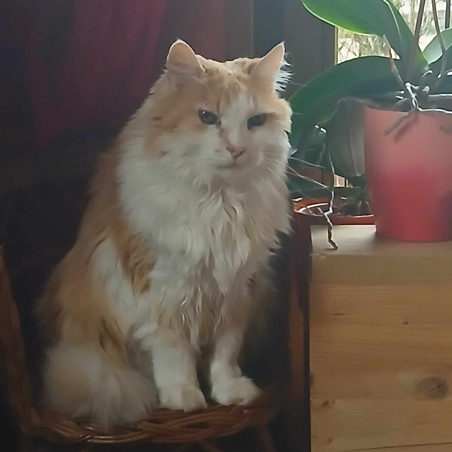 Max