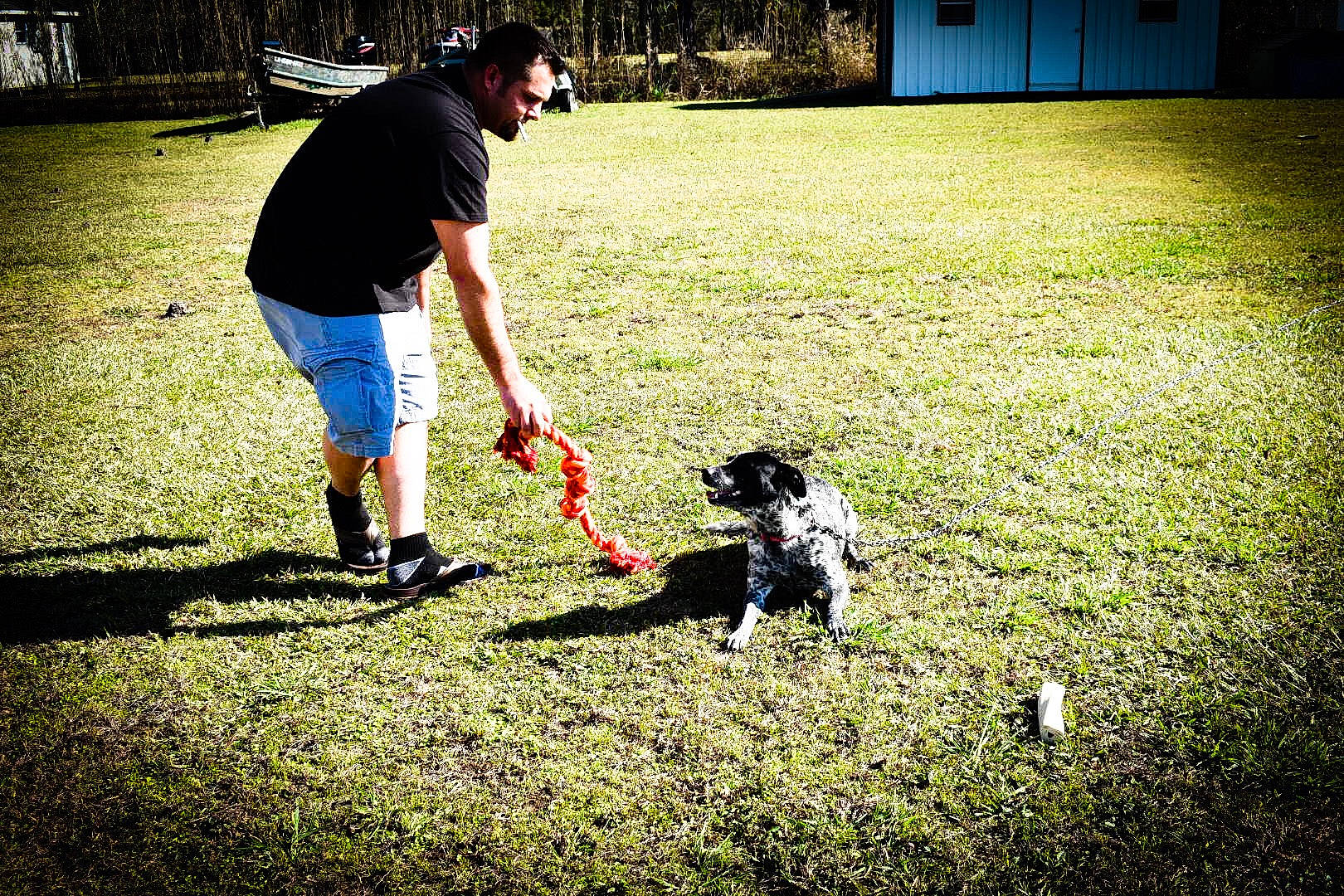 Oakley N Sophie joined the competition — help win amazing prizes! canidae, carnivore, companion_dog, dog, dog_breed, fun, grass, grassland, landscape, leash, leisure, pasture, people_in_nature, play, shadow, shorts, sporting_group, t_shirt, tints_and_shades, walking