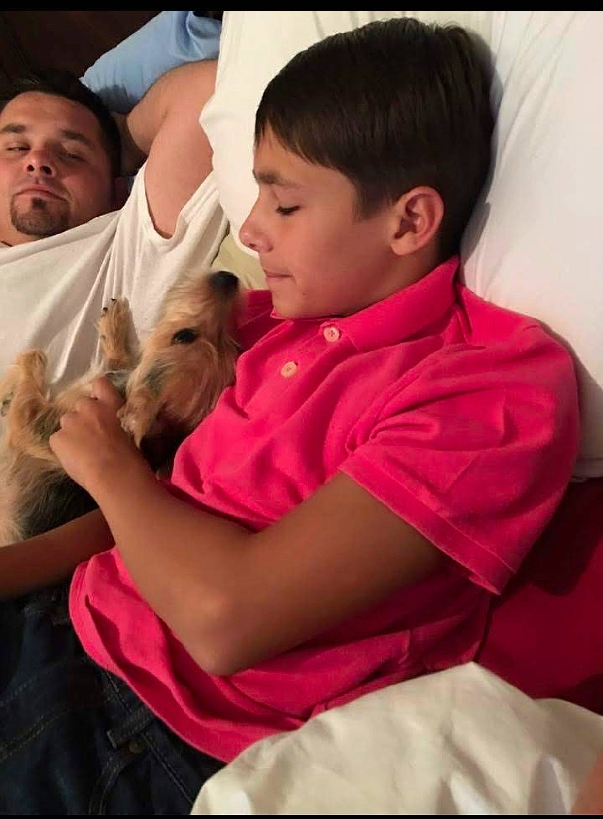 Cooper joined the competition — help win amazing prizes! canidae, carnivore, comfort, companion_dog, dog, dog_breed, ear, fawn, felidae, finger, fun, gesture, hand, happy, pink, shoulder, sitting, skin, sporting_group, toy_dog