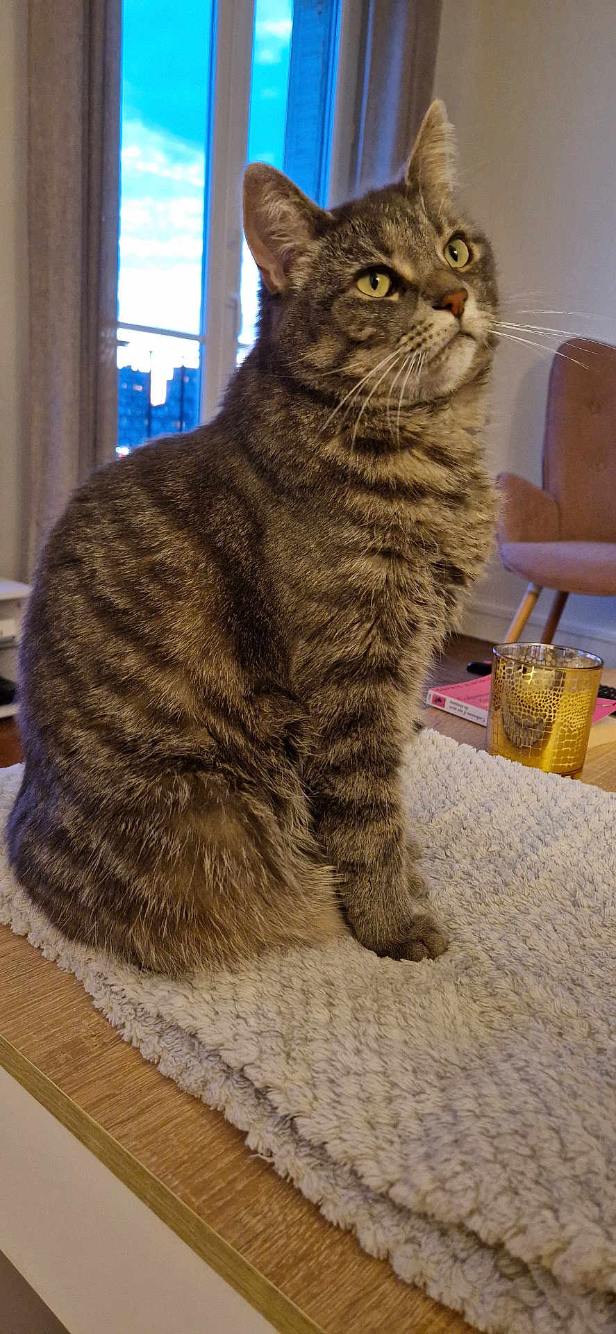 Pipa