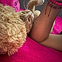 Simba Ponce is registered to the contest to win money with this photo: animal, arm, beads, blanket, bracelets, casual, cat, close_up, cozy, feline, human, indoor, orange_tabby, pet, pink, plush_toy, relaxing, resting, soft_texture, whiskers