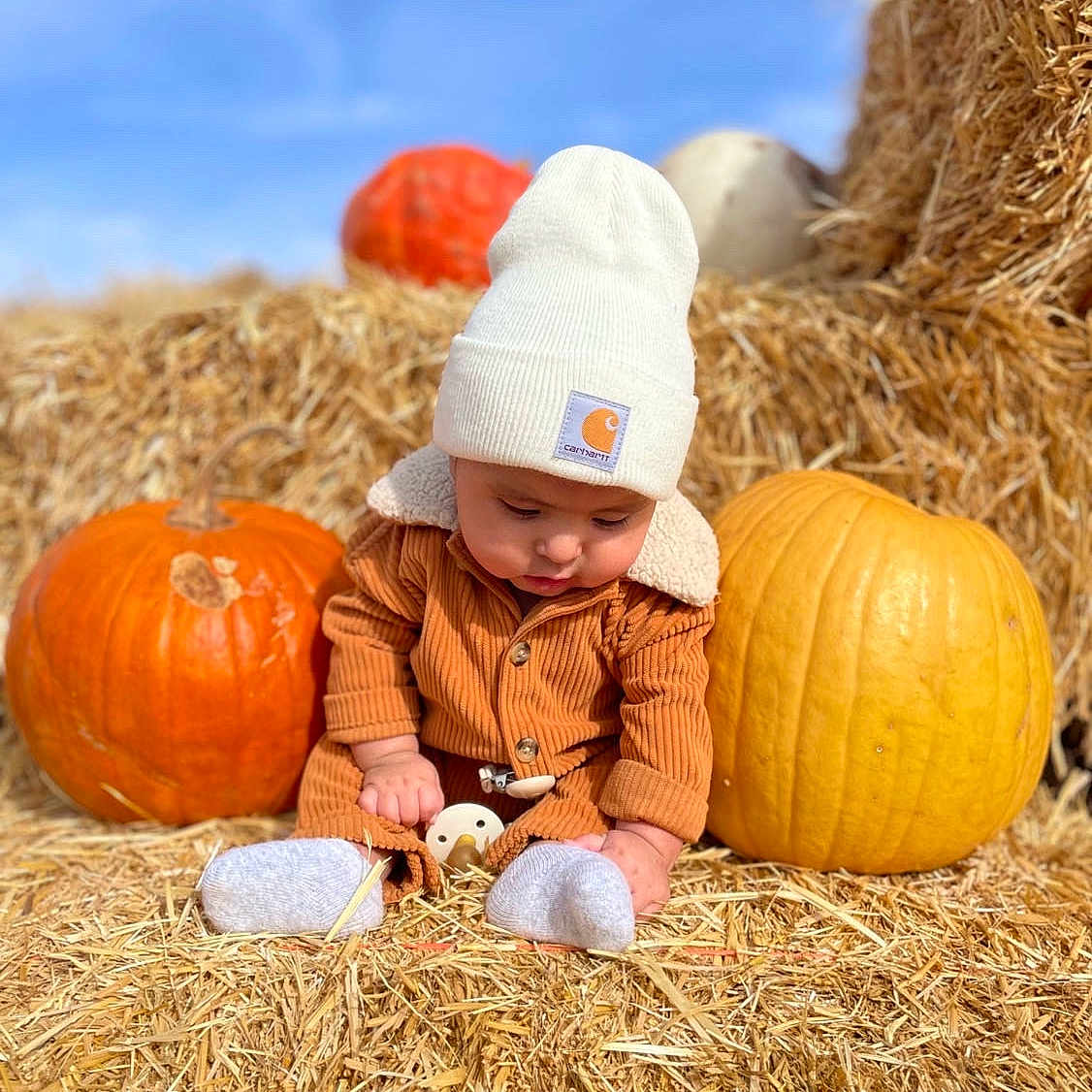 Benjamin is registered to the contest to win money with this photo: baby, biting, blonde, crawling, face, festival, food, hair, halloween, happy, head, person, photography, plant, produce, pumpkin, sitting, squash, vegetable