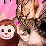 adorable, animal, cat, close_up, cozy, cute, friendship, fur, heart, indoor, monkey, nap, pet, pink_background, plush_toy, resting, sleeping, soft, tabby, whiskers