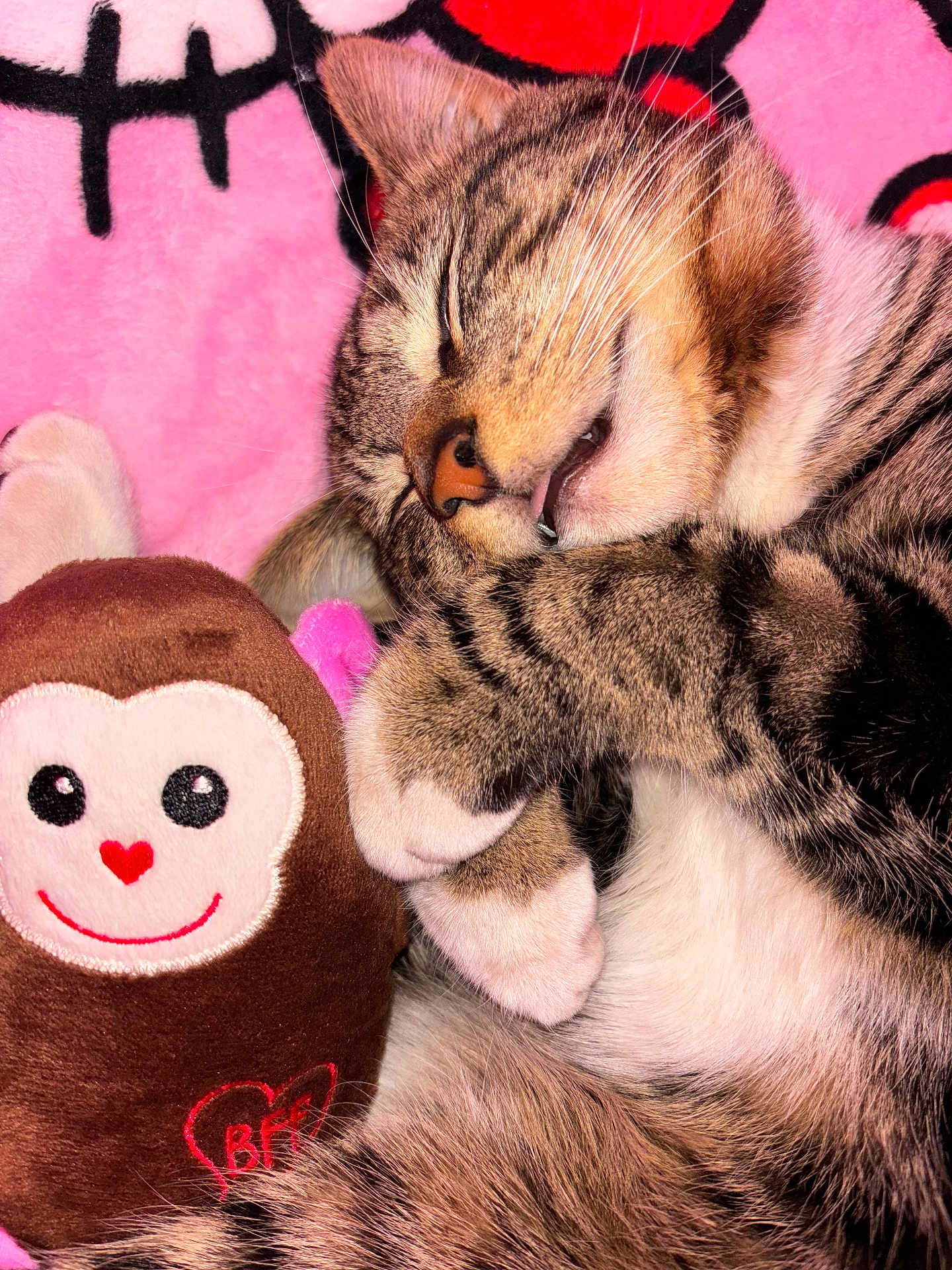 Michi