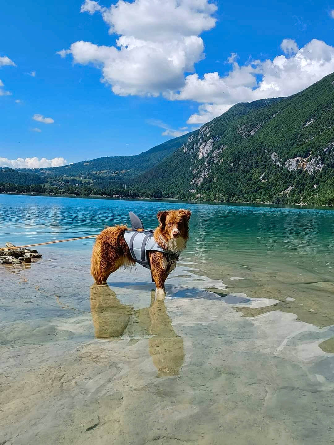 Scout a rejoint le concours — aidez-le/la à gagner de superbes lots ! azure, bank, beach, cloud, coastal_and_oceanic_landforms, happy, hill, lake, landscape, leisure, mountain, natural_landscape, people_in_nature, shore, shorts, sky, travel, tree, water, water_resources