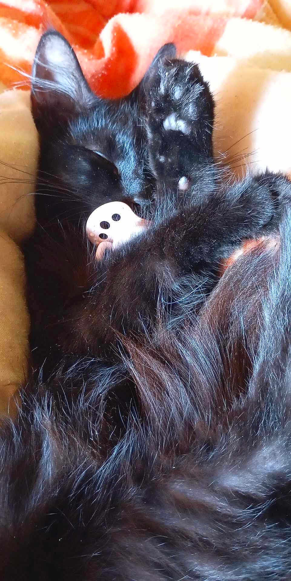 Blacky
