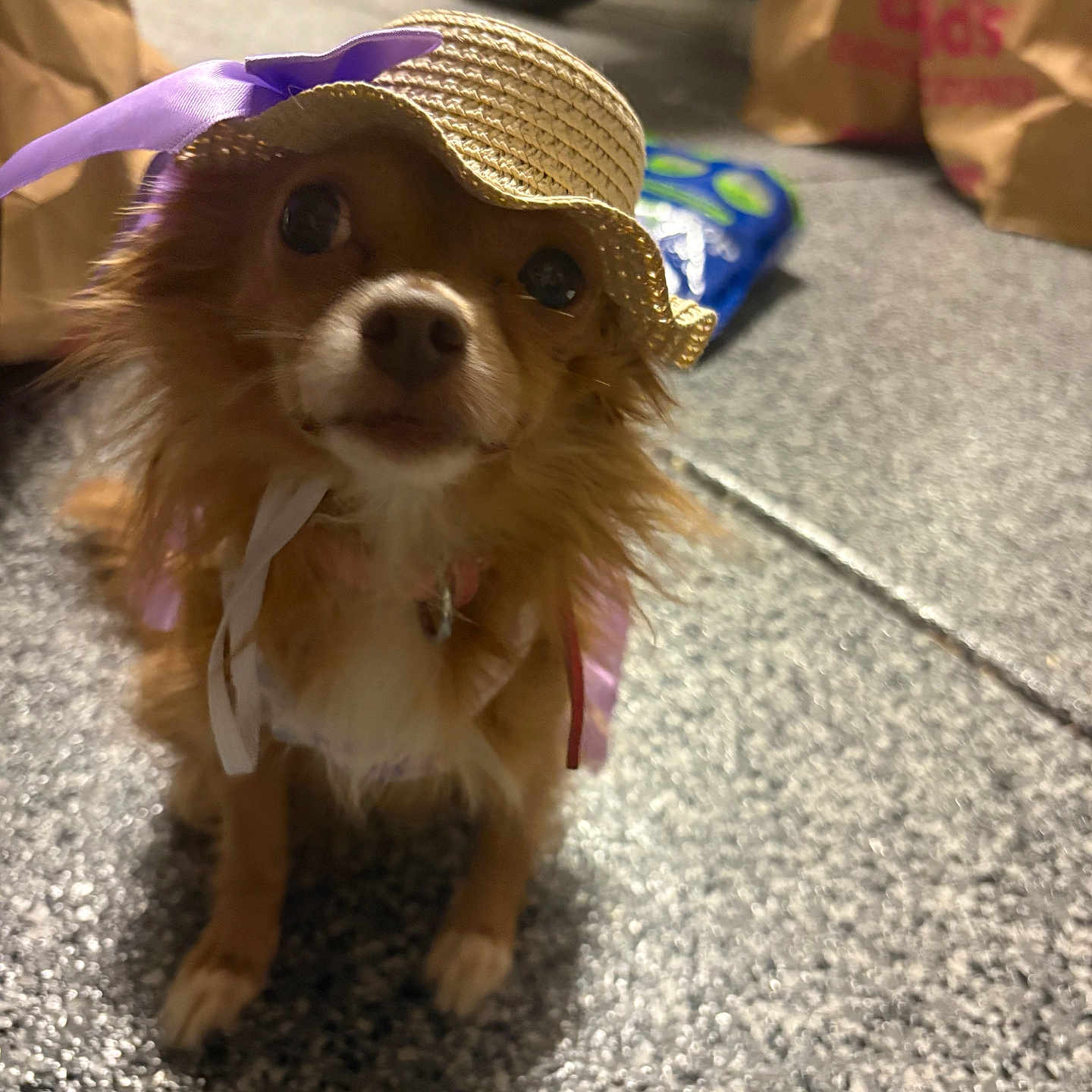 Coco