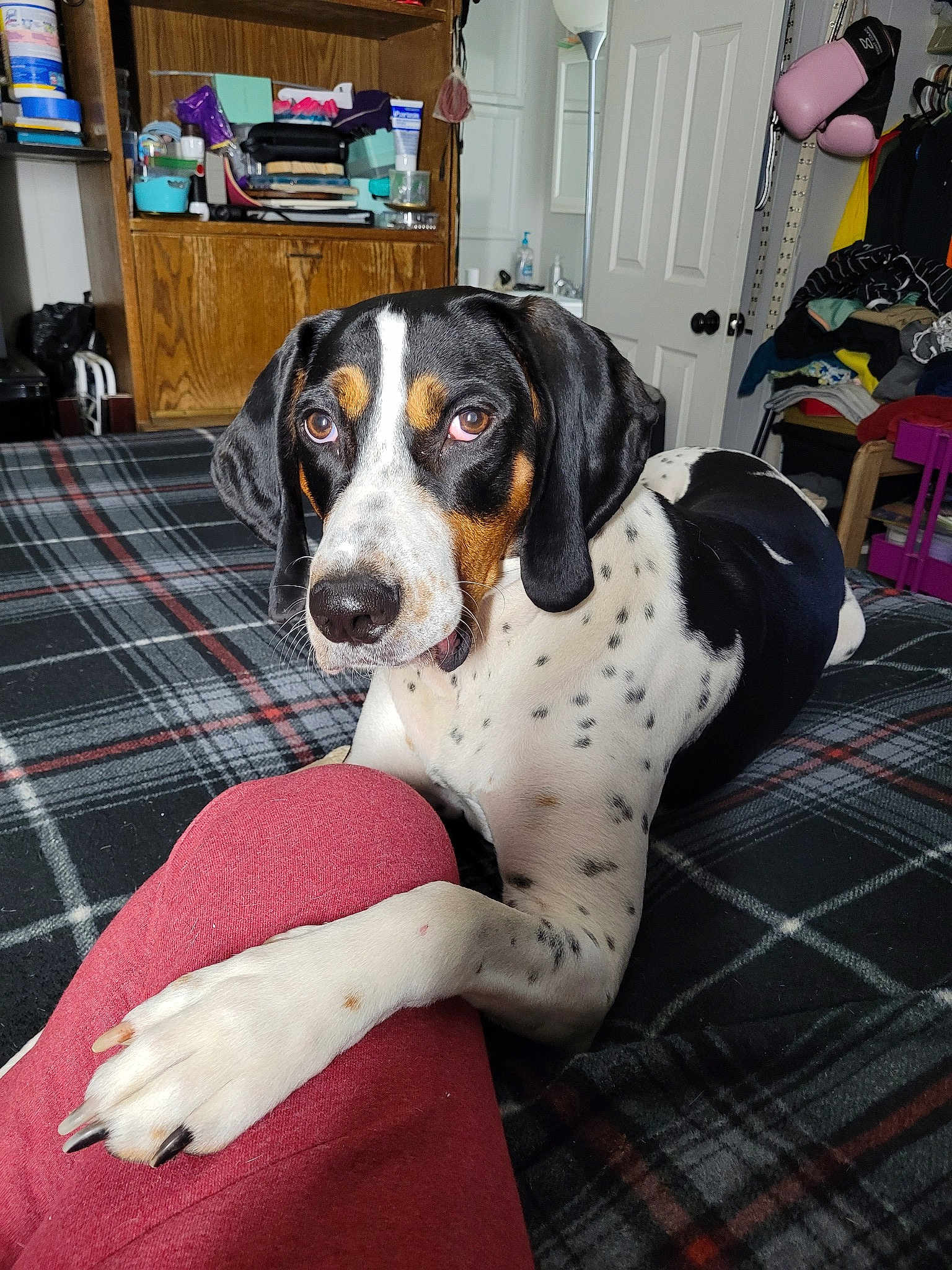 Hank
