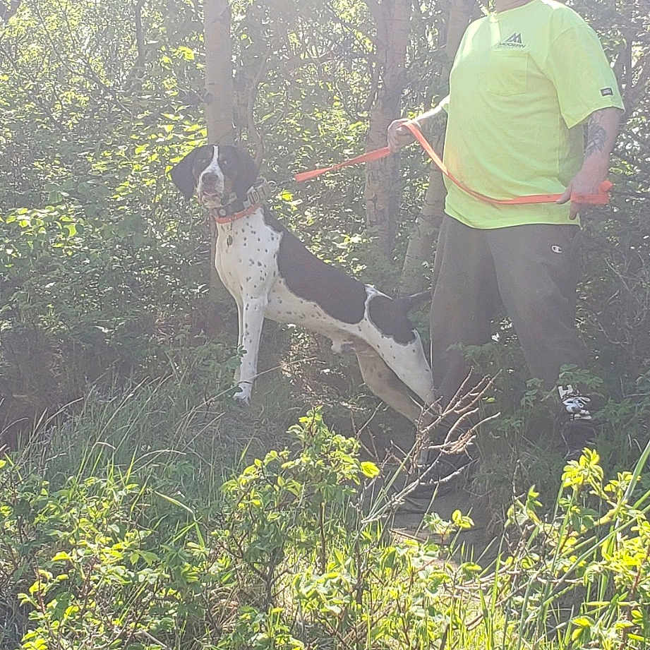 Hank joined the competition — help win amazing prizes! adaptation, adventure, branch, forest, gesture, grass, happy, landscape, leisure, natural_landscape, people_in_nature, plant, plant_community, recreation, shorts, shrub, t_shirt, terrestrial_plant, tree, woodland