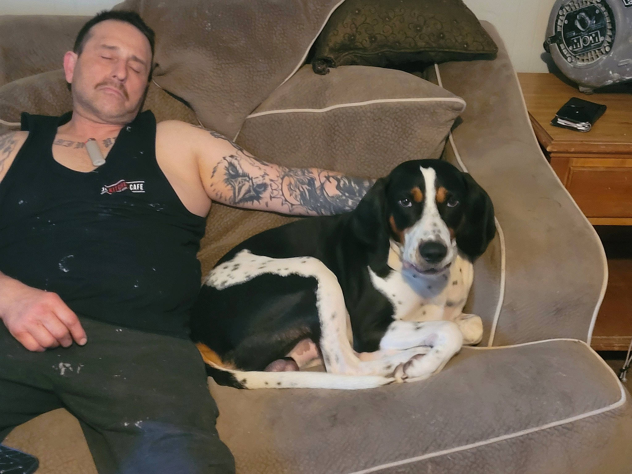 Hank is registered to the contest to win money with this photo: bored, carnivore, chair, comfort, companion_dog, corded_phone, couch, dog, dog_breed, kitchen_appliance, lap, mammal, mechanical_fan, paw, room, sitting, snout, telephone, thigh, working_dog