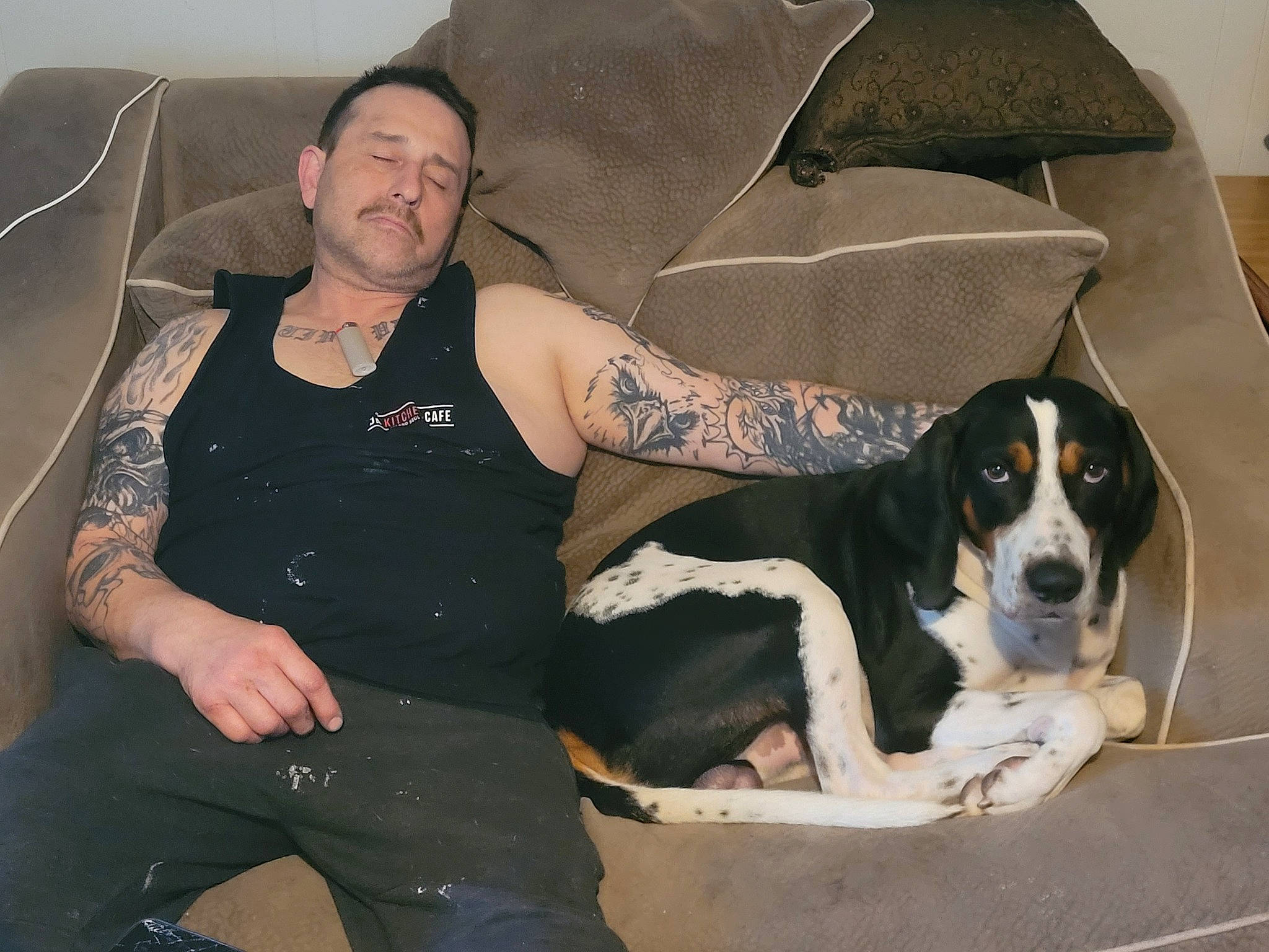 Hank joined the competition — help win amazing prizes! canidae, carnivore, chair, chest, comfort, companion_dog, couch, dog, dog_breed, fur, human_leg, jewellery, lap, luggage_and_bags, scent_hound, sitting, sporting_group, thigh, working_animal, working_dog