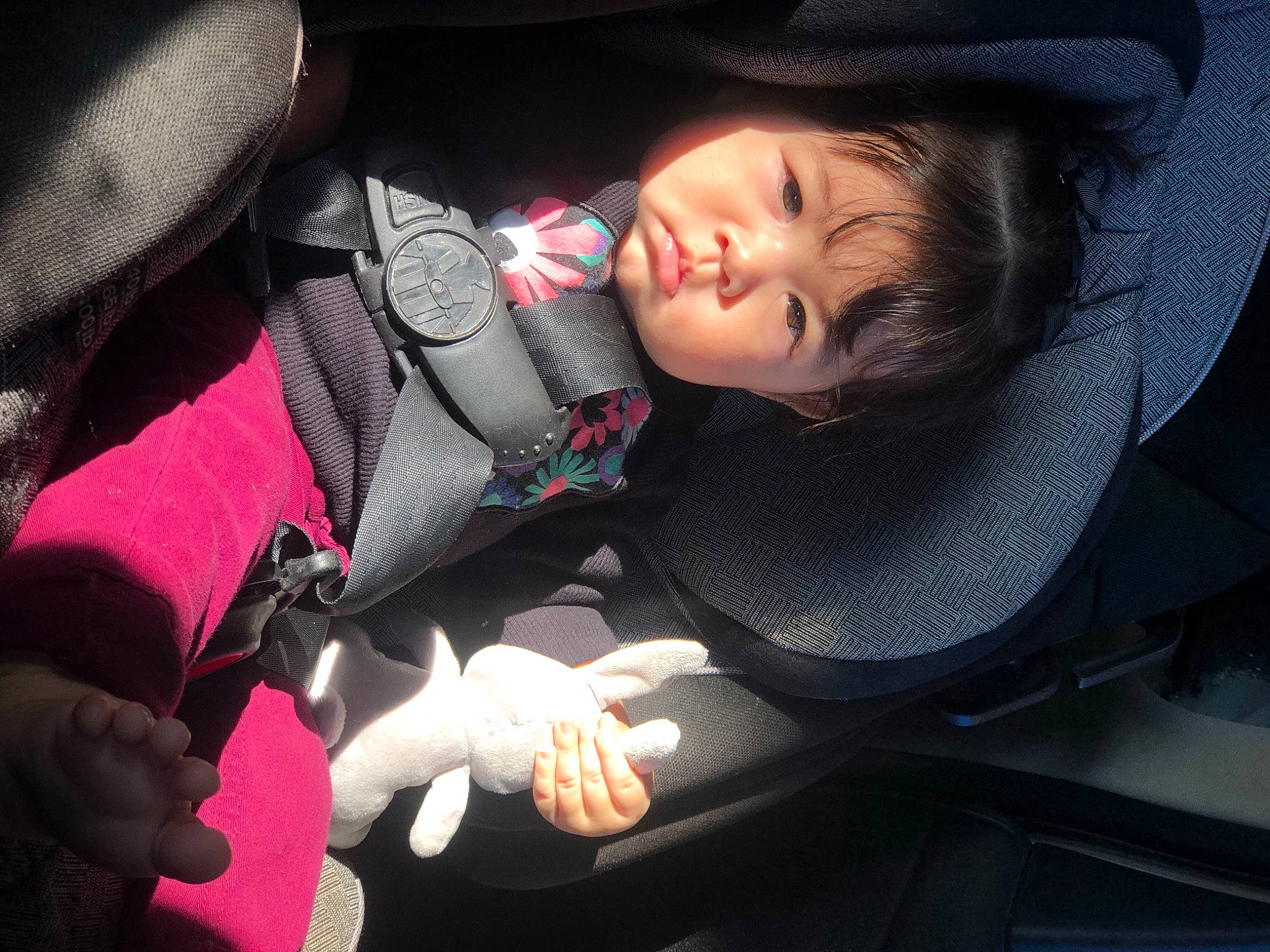 Ivis is registered to the contest to win money with this photo: auto_part, baby, beauty, black_hair, car_seat, child, cloud, cool, finger, flower, hand, material_property, mouth, nap, person, pink, plant, skin, sleep, toddler