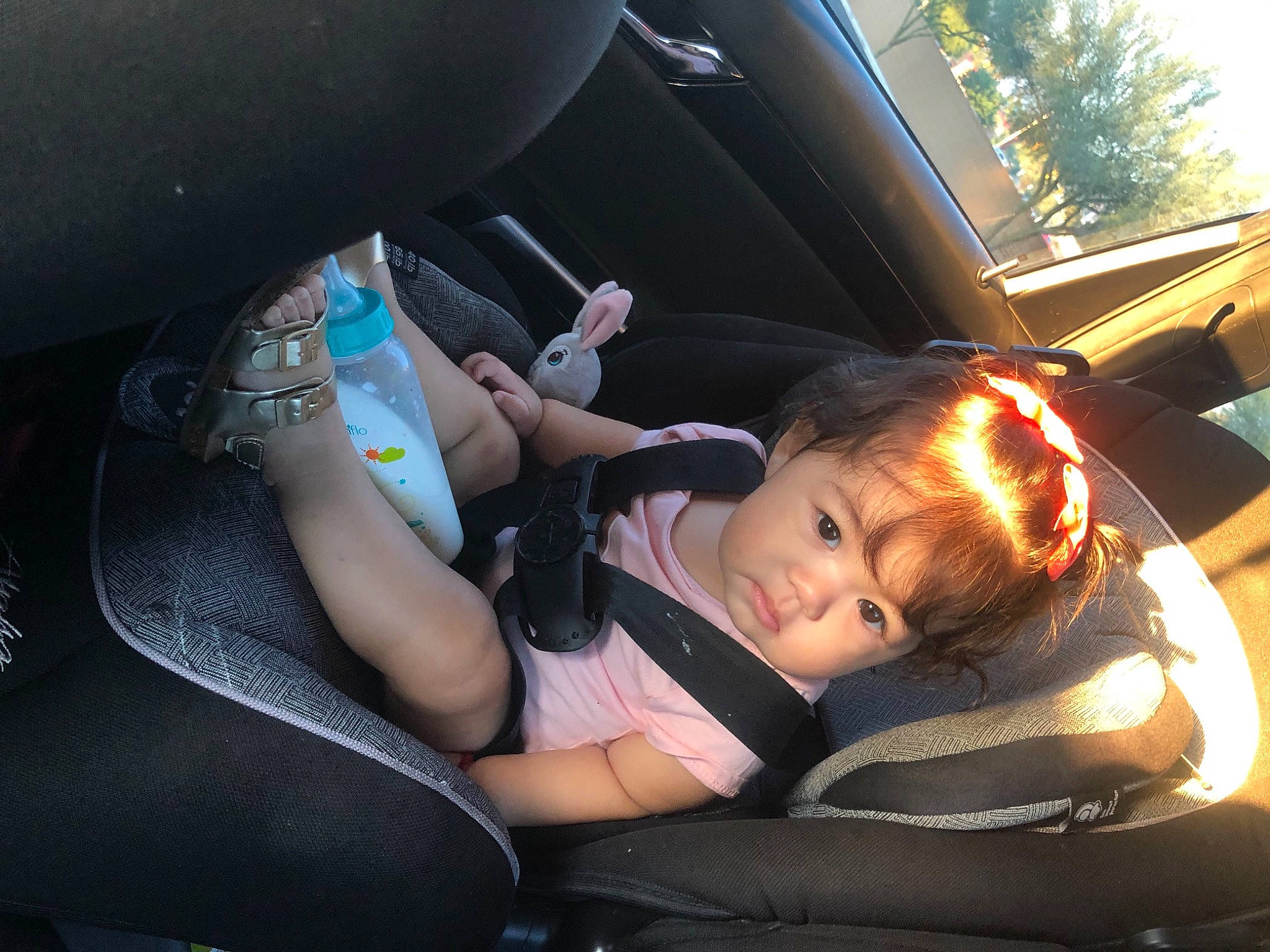 Ivis joined the competition — help win amazing prizes! auto_part, baby, baby_in_car_seat, car, car_seat, child, driving, family_car, fun, leisure, luxury_vehicle, person, plant, product, sitting, steering_wheel, toddler, tree, vacation, vehicle