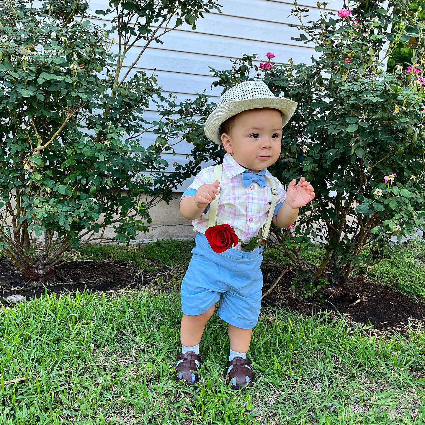 Bryan joined the competition — help win amazing prizes! baby, backyard, clothing, face, garden, grass, hat, head, herbal, herbs, nature, outdoors, pants, person, photography, plant, portrait, shorts, summer, vegetation