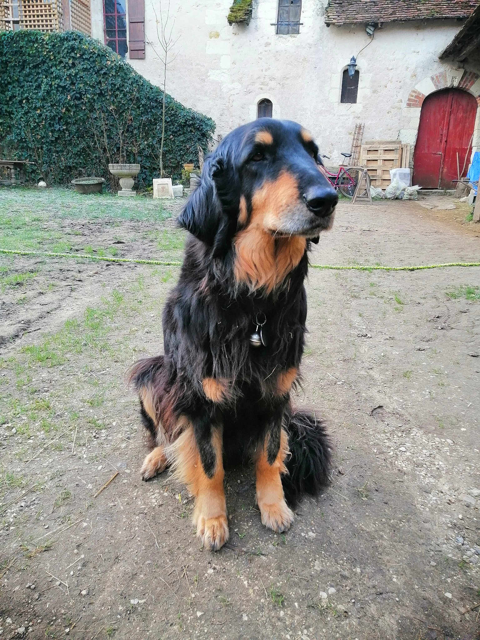 Gipsy