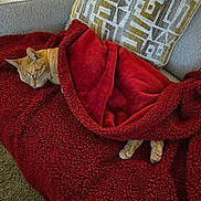 Tiger joined the competition — help win amazing prizes! cat, orange_cat, sleeping, blanket, red_blanket, couch, pillow, cozy, indoor, pet, feline, resting, fur, paw, home, comfort, relaxation, nap, animal, soft