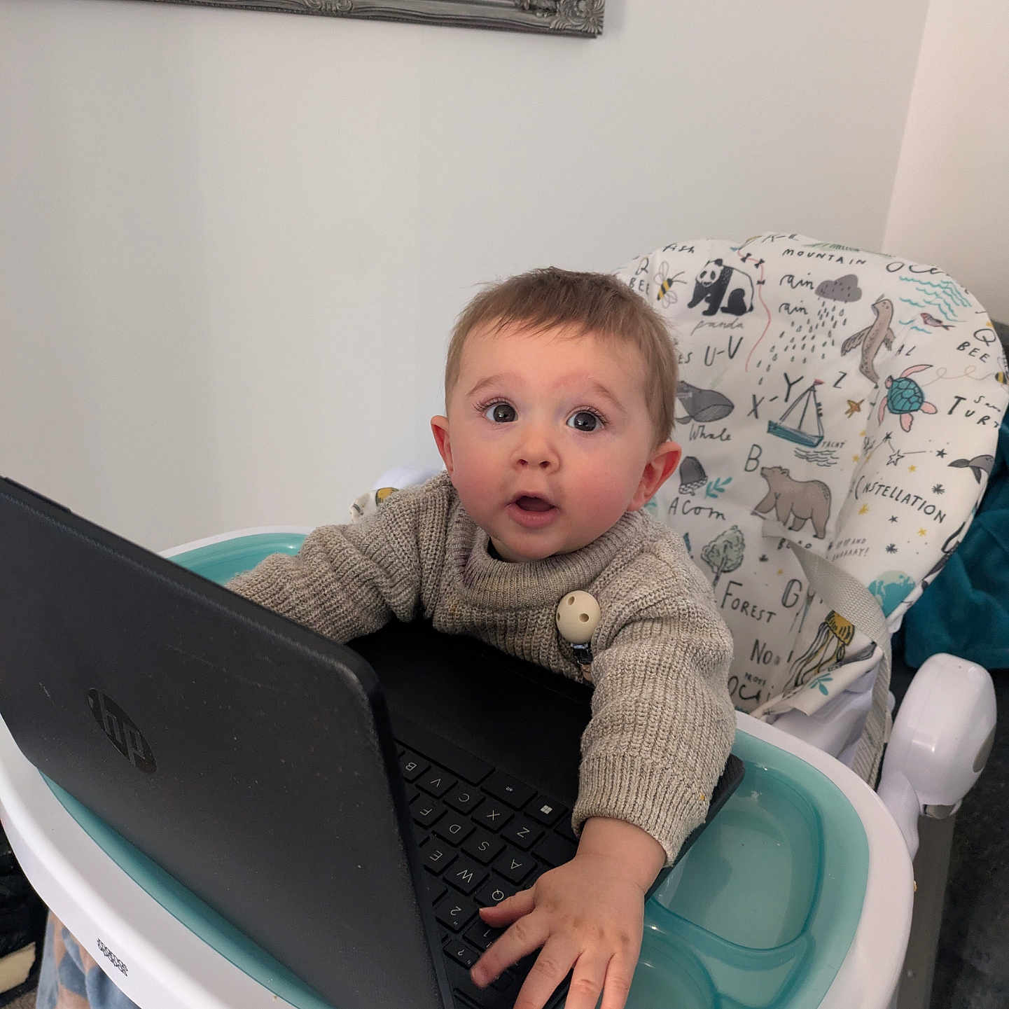 Jordan joined the competition — help win amazing prizes! animal_print, baby, candid, child, curious, expression, face, furniture, hand, high_chair, home, indoor, keyboard, laptop, mirror, person, seated, sweater, technology, window_blinds