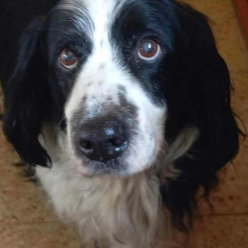 Jack