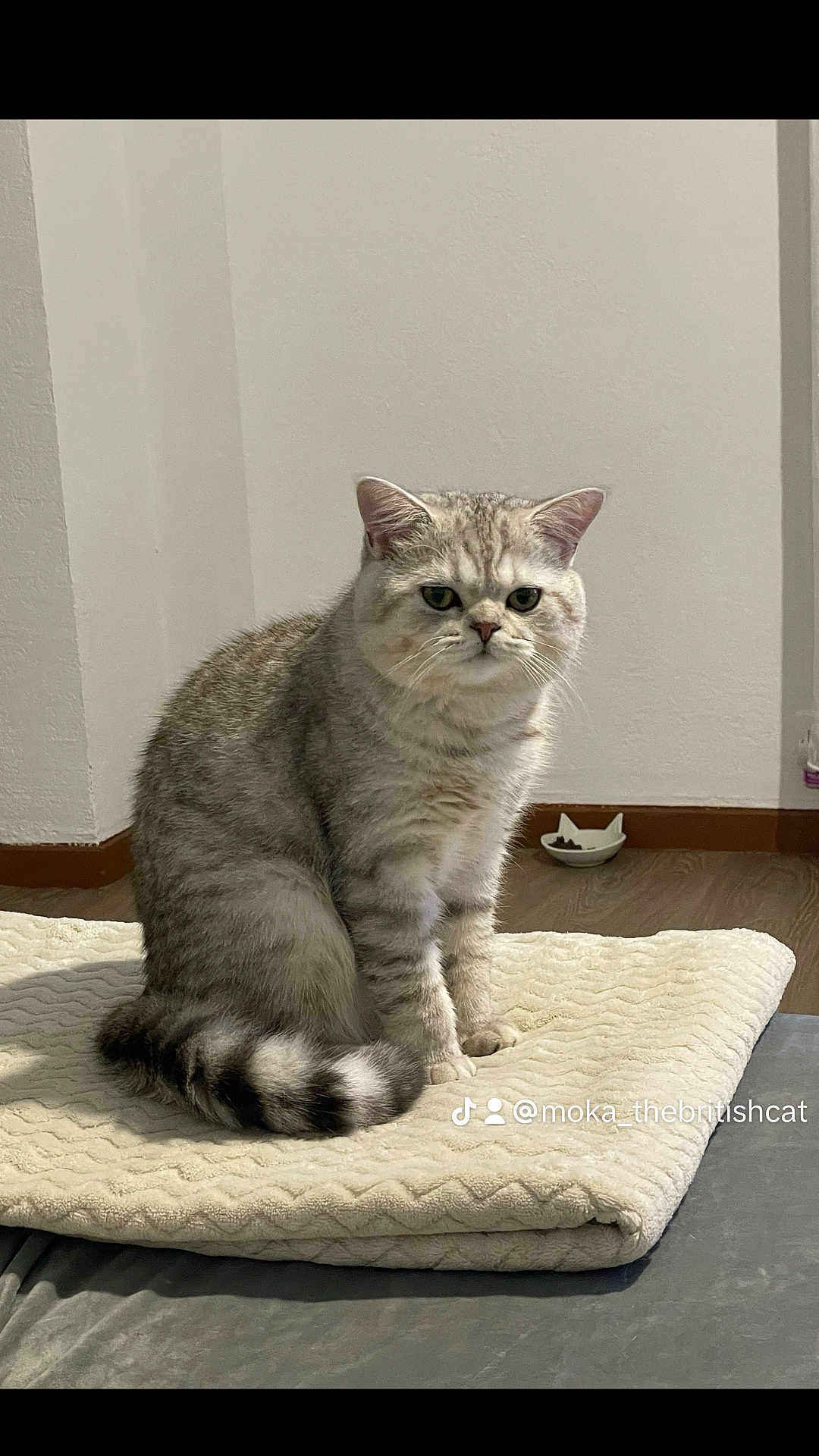 Moka
