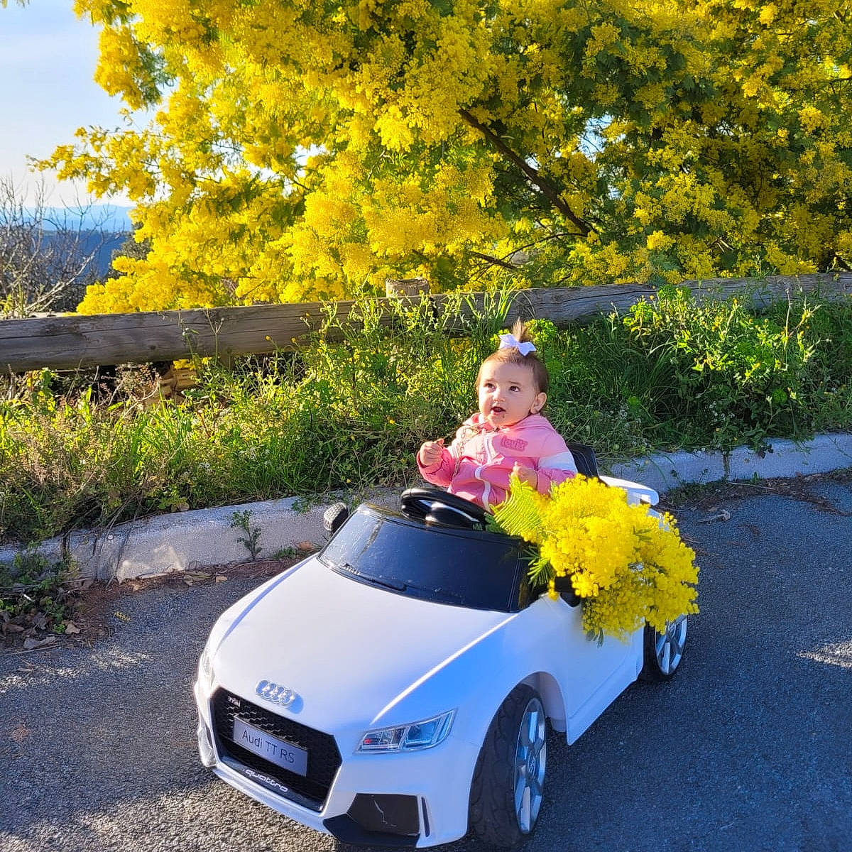 Tiana a rejoint le concours — aidez-le/la à gagner de superbes lots ! alloy_wheel, automotive_design, automotive_exterior, automotive_lighting, automotive_tire, car, fender, flower, grass, hood, light, motor_vehicle, person, photograph, plant, tire, tree, vehicle, vehicle_registration_plate, wheel